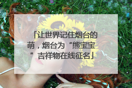 让世界记住烟台的萌，烟台为“熊宝宝”吉祥物在线征名