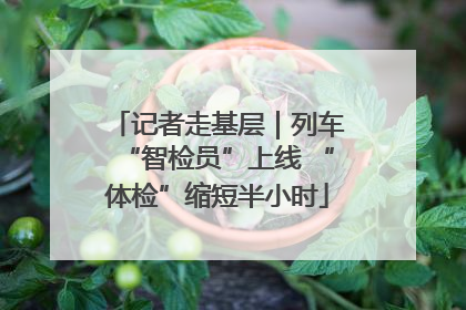 记者走基层｜列车“智检员”上线 “体检”缩短半小时