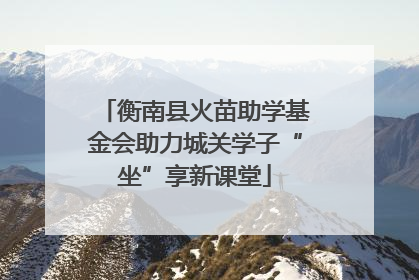 衡南县火苗助学基金会助力城关学子“坐”享新课堂