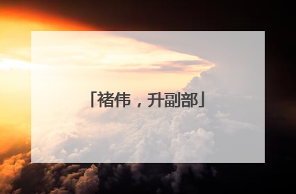 褚伟，升副部