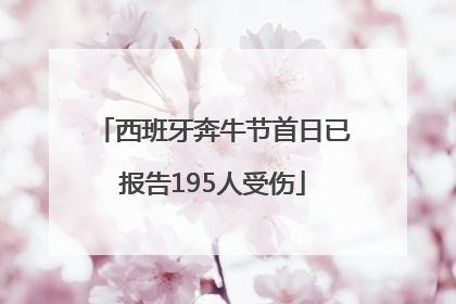 西班牙奔牛节首日已报告195人受伤
