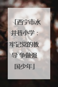 西宁市水井巷小学：牢记党的教导 争做强国少年