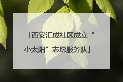 西安汇成社区成立“小太阳”志愿服务队