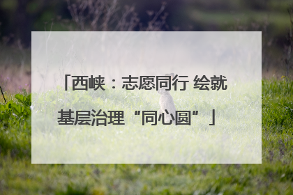 西峡：志愿同行 绘就基层治理“同心圆”