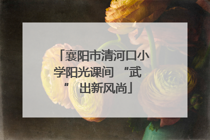 襄阳市清河口小学阳光课间 “武” 出新风尚