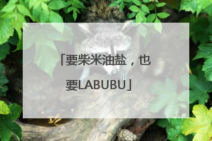 要柴米油盐，也要LABUBU