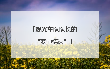 观光车队队长的“梦中情岗”