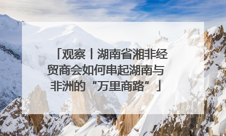 观察丨湖南省湘非经贸商会如何串起湖南与非洲的“万里商路”
