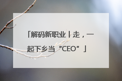 解码新职业丨走，一起下乡当“CEO”