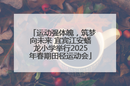 运动强体魄，筑梦向未来 宜宾江安蟠龙小学举行2025年春期田径运动会