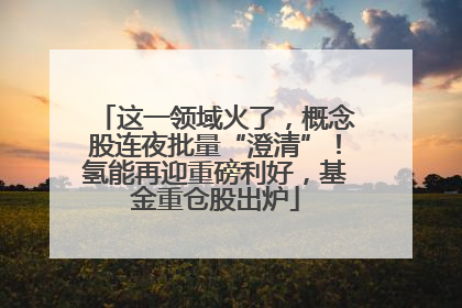 这一领域火了，概念股连夜批量“澄清”！氢能再迎重磅利好，基金重仓股出炉