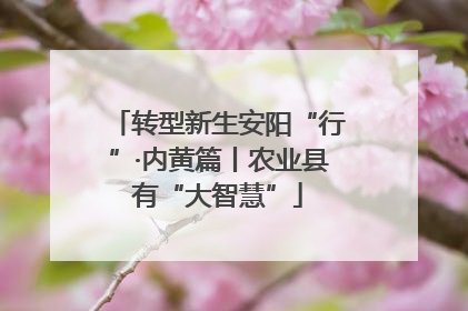 转型新生安阳“行”·内黄篇丨农业县有“大智慧”