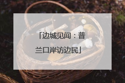 边城见闻：普兰口岸访边民