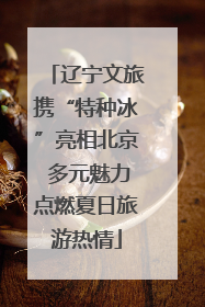 辽宁文旅携“特种冰”亮相北京 多元魅力点燃夏日旅游热情