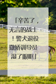 辛苦了，无言的战士！警犬退役撒娇训导员湿了眼眶