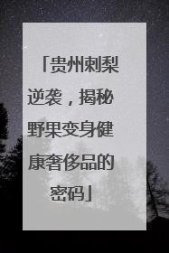 贵州刺梨逆袭，揭秘野果变身健康奢侈品的密码