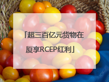 超三百亿元货物在厦享RCEP红利