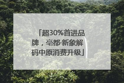 超30%首进品牌，亳都·新象解码中原消费升级