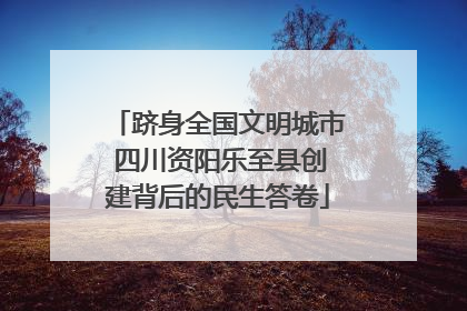 跻身全国文明城市 四川资阳乐至县创建背后的民生答卷