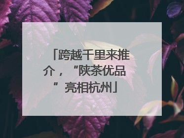 跨越千里来推介，“陕茶优品”亮相杭州