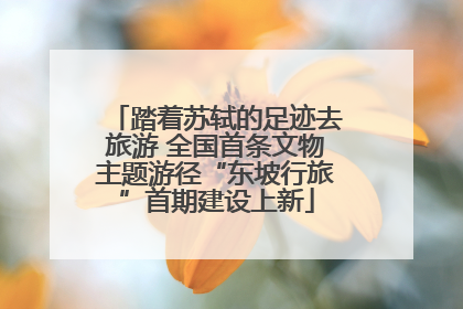 踏着苏轼的足迹去旅游 全国首条文物主题游径“东坡行旅”首期建设上新