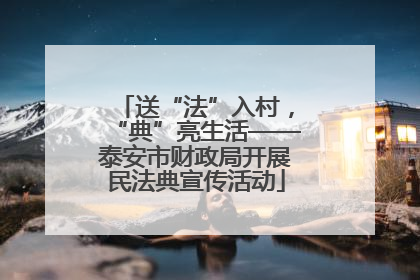 送“法”入村，“典”亮生活——泰安市财政局开展民法典宣传活动