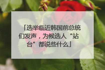 选举临近韩国前总统们发声，为候选人“站台”都说些什么