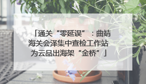 通关“零延误”：曲靖海关会泽集中查检工作站为云品出海架“金桥”
