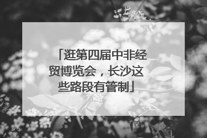 逛第四届中非经贸博览会，长沙这些路段有管制