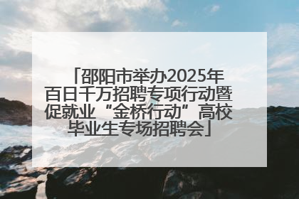 邵阳市举办2025年百日千万招聘专项行动暨促就业“金桥行动”高校毕业生专场招聘会