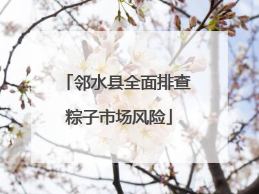 邻水县全面排查粽子市场风险