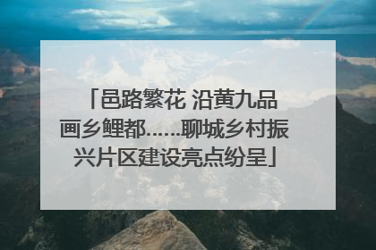 邑路繁花 沿黄九品 画乡鲤都……聊城乡村振兴片区建设亮点纷呈
