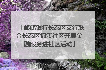 邮储银行长泰区支行联合长泰区锦溪社区开展金融服务进社区活动