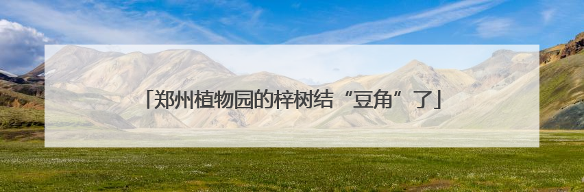 郑州植物园的梓树结“豆角”了