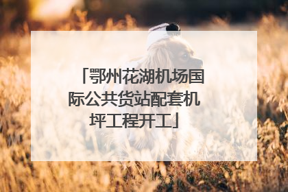 鄂州花湖机场国际公共货站配套机坪工程开工