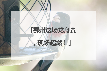 鄂州这场龙舟赛，现场超燃！