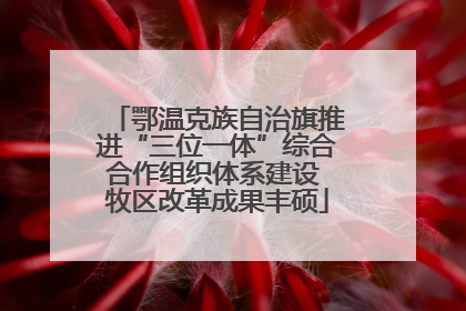 鄂温克族自治旗推进“三位一体”综合合作组织体系建设 牧区改革成果丰硕
