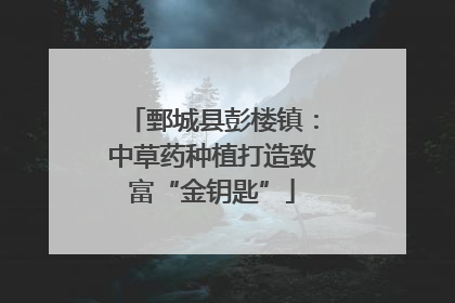 鄄城县彭楼镇：中草药种植打造致富“金钥匙”