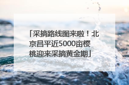 采摘路线图来啦！北京昌平近5000亩樱桃迎来采摘黄金期