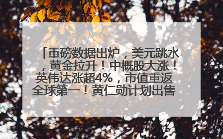 重磅数据出炉，美元跳水，黄金拉升！中概股大涨！英伟达涨超4%，市值重返全球第一！黄仁勋计划出售至多600万股股票
