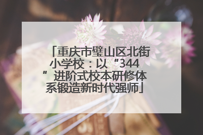 重庆市璧山区北街小学校：以“344”进阶式校本研修体系锻造新时代强师