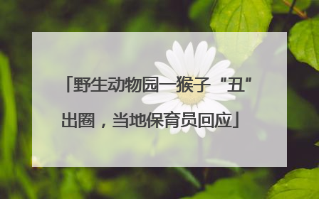 野生动物园一猴子“丑”出圈，当地保育员回应