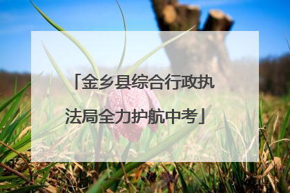 金乡县综合行政执法局全力护航中考