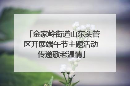 金家岭街道山东头管区开展端午节主题活动 传递敬老温情