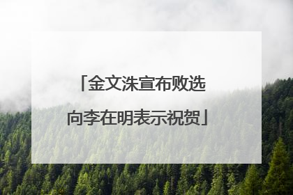 金文洙宣布败选 向李在明表示祝贺