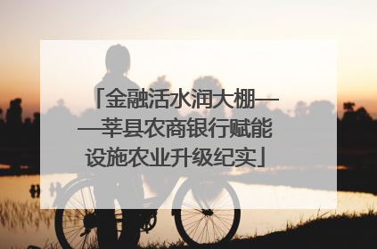 金融活水润大棚——莘县农商银行赋能设施农业升级纪实