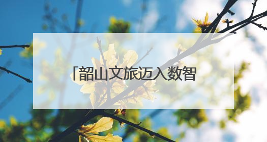 韶山文旅迈入数智化新阶段：一机游、一屏管、一路学