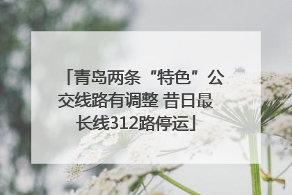 青岛两条“特色”公交线路有调整 昔日最长线312路停运