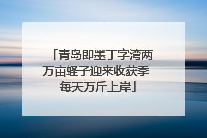 青岛即墨丁字湾两万亩蛏子迎来收获季 每天万斤上岸