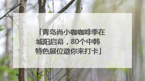 青岛尚小咖咖啡季在城阳启幕，80个中韩特色展位邀你来打卡